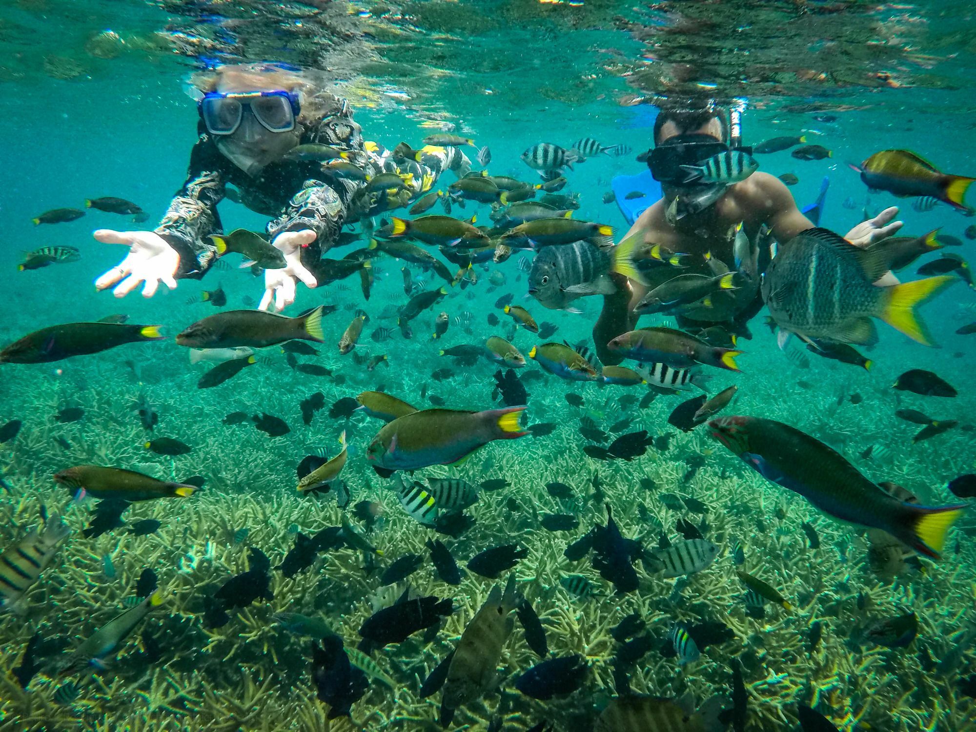 Alunan Resort Kampong Pasir Hantu Exteriér fotografie